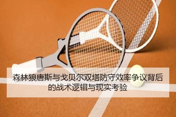 森林狼唐斯与戈贝尔双塔防守效率争议背后的战术逻辑与现实考验