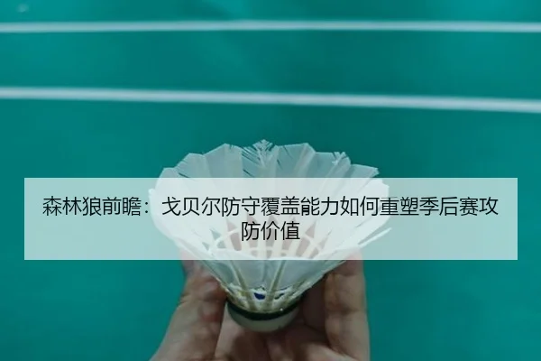 森林狼前瞻：戈贝尔防守覆盖能力如何重塑季后赛攻防价值