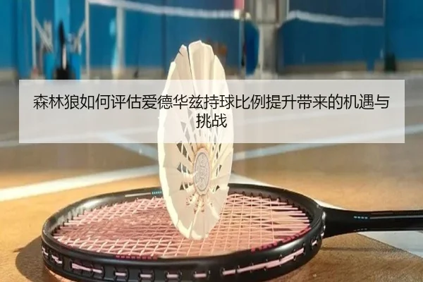 森林狼如何评估爱德华兹持球比例提升带来的机遇与挑战